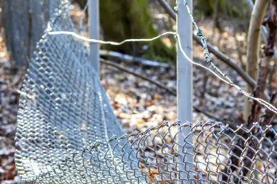 Fencing Services Provider