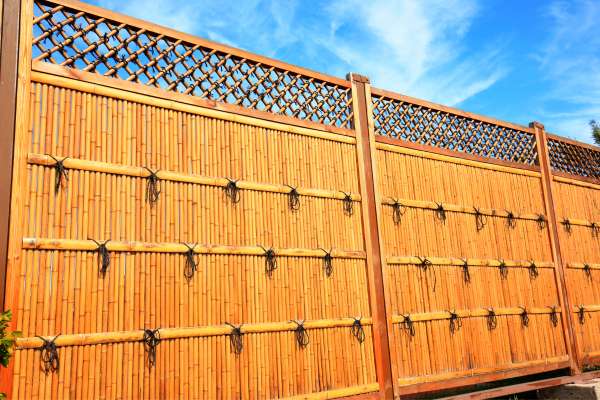 Bamboo Fencing