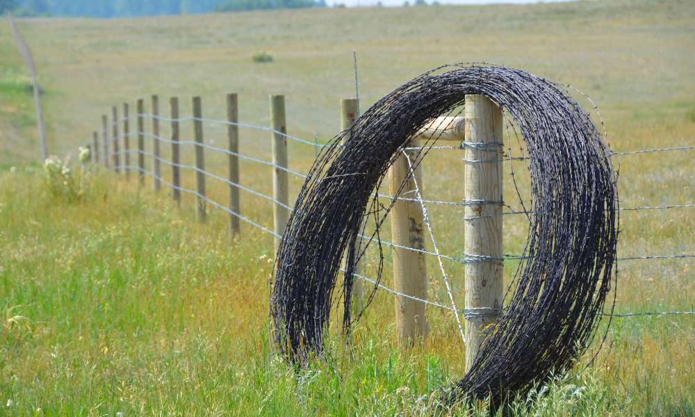 Barbed Wire Fences Installation