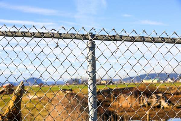 Chain Link Fencing